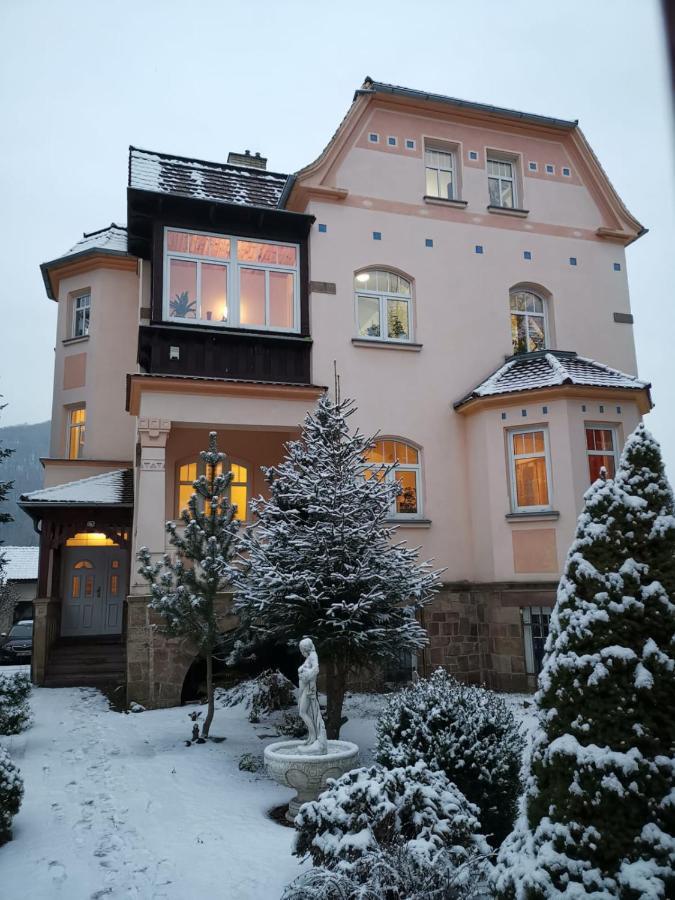 Villa Federer Dolni Zalezly Exterior photo